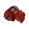 TECO IE3 Flameproof (Exd)