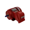 TECO IE3 Flameproof (Exd)