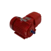 TECO IE3 Flameproof (Exd)