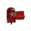 TECO IE3 Flameproof (Exd)