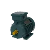 TECO Te3 Cast Iron 3 Phase