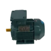 TECO Te3 Cast Iron 3 Phase