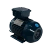 TECO Te3 Cast Iron 3 Phase