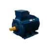 TECO Te3 Cast Iron 3 Phase