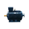 TECO Te3 Cast Iron 3 Phase