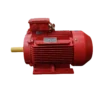 TECO Te3 Severe Duty Cast Iron 3 Phase