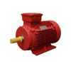 TECO Te3 Severe Duty Cast Iron 3 Phase