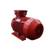 TECO Te3 Severe Duty Cast Iron 3 Phase